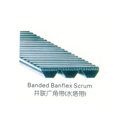 ʽǴ